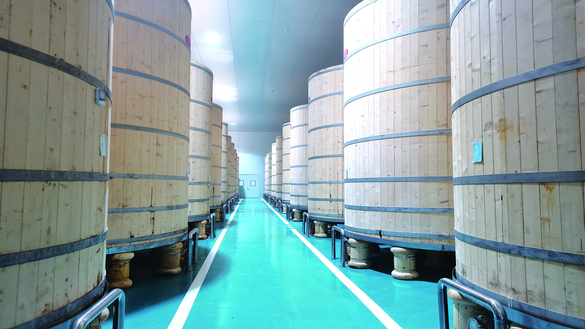 013cffe8d36fdb1079697c165dbf721 