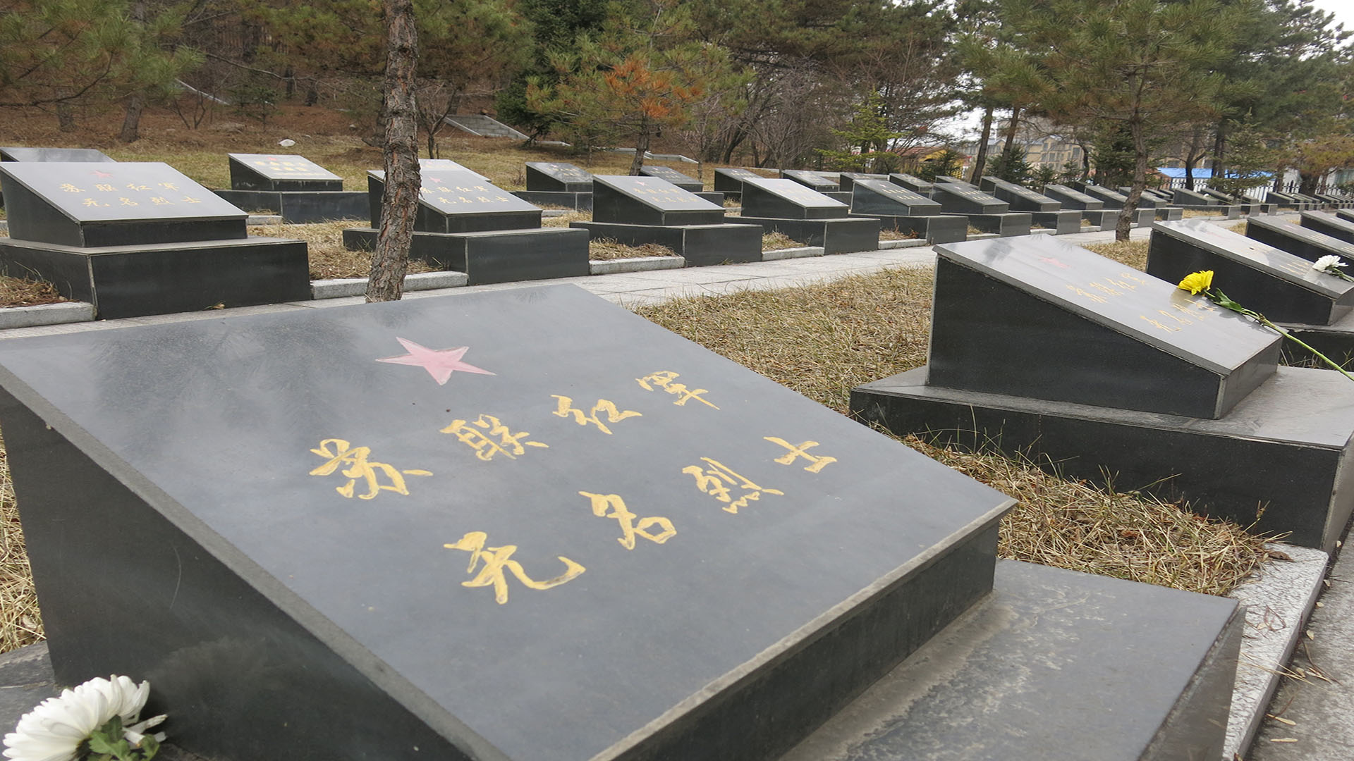 苏联红军无名烈士墓 拷贝