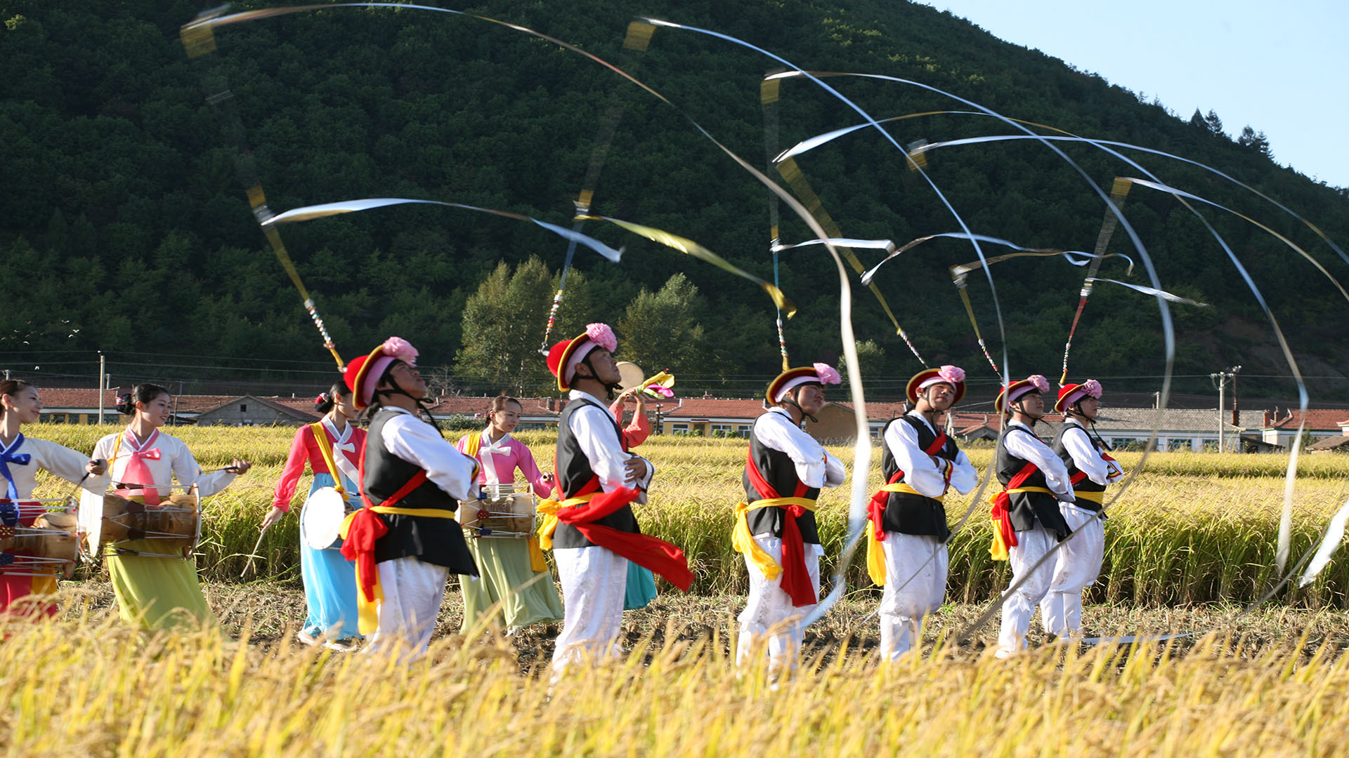 传统农乐舞表演 拷贝