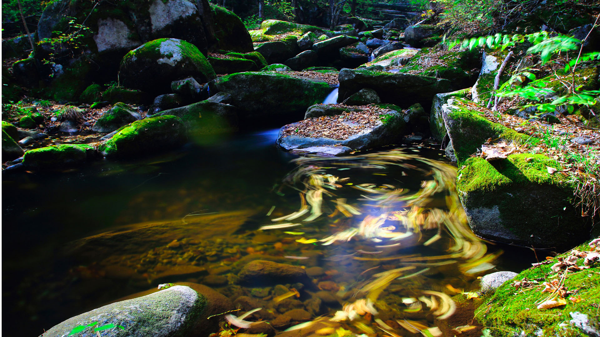 兰家大峡谷国家森林公园2 拷贝