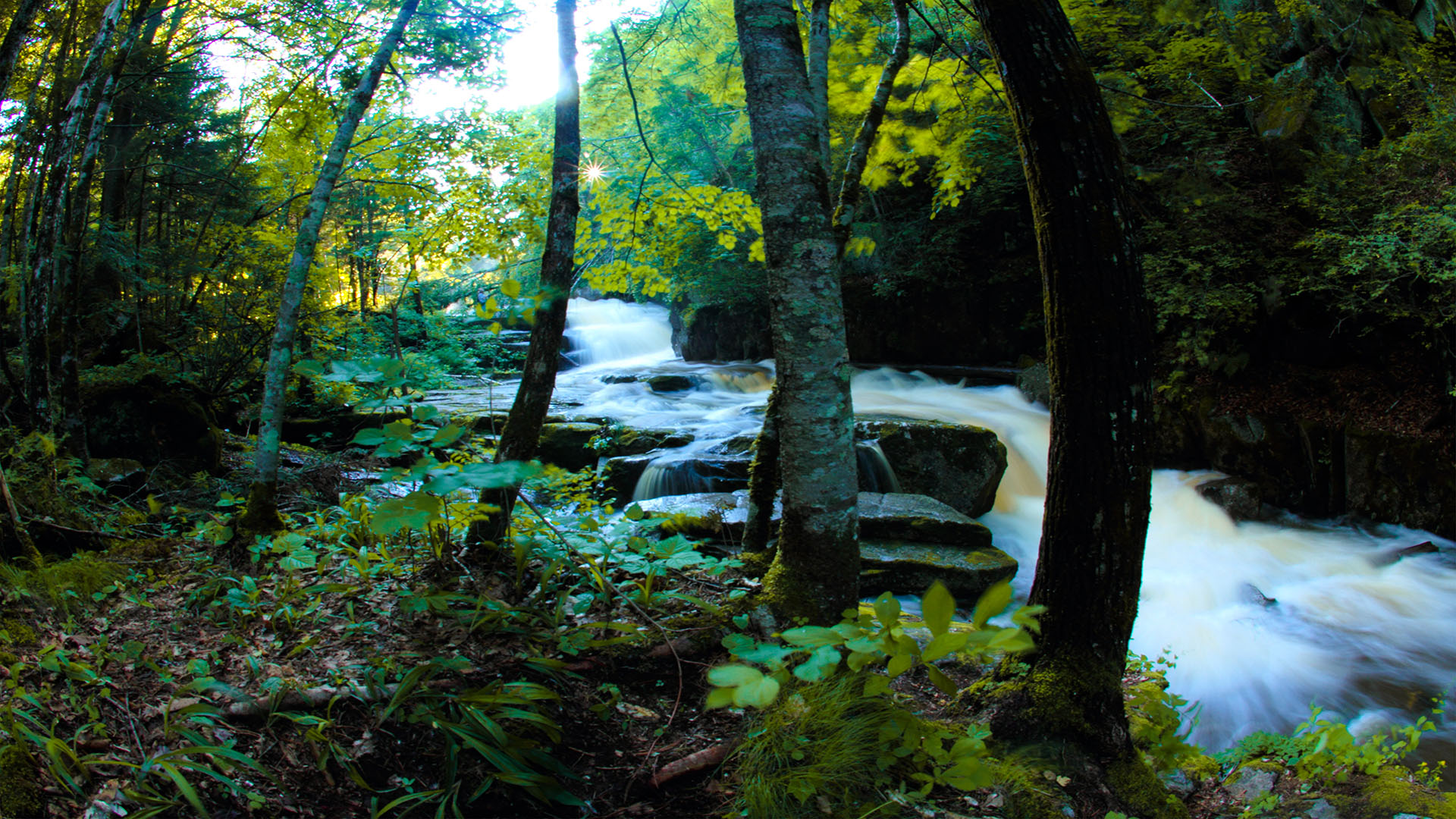 吉林兰家大峡谷国家森林公园2 拷贝