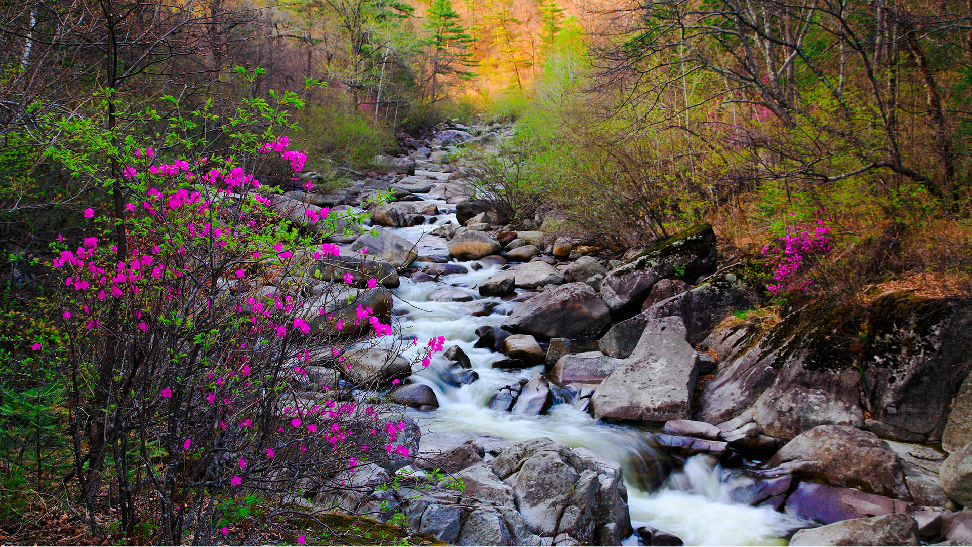 吉林兰家大峡谷国家森林公园1 拷贝