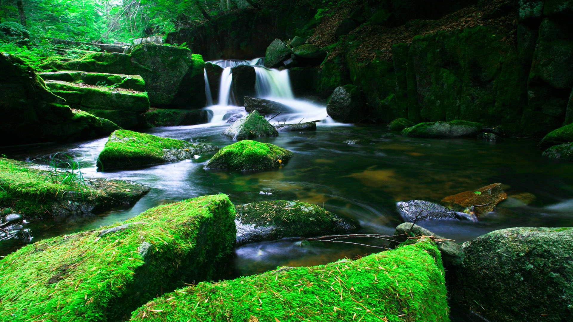 兰家大峡谷国家森林公园1 拷贝