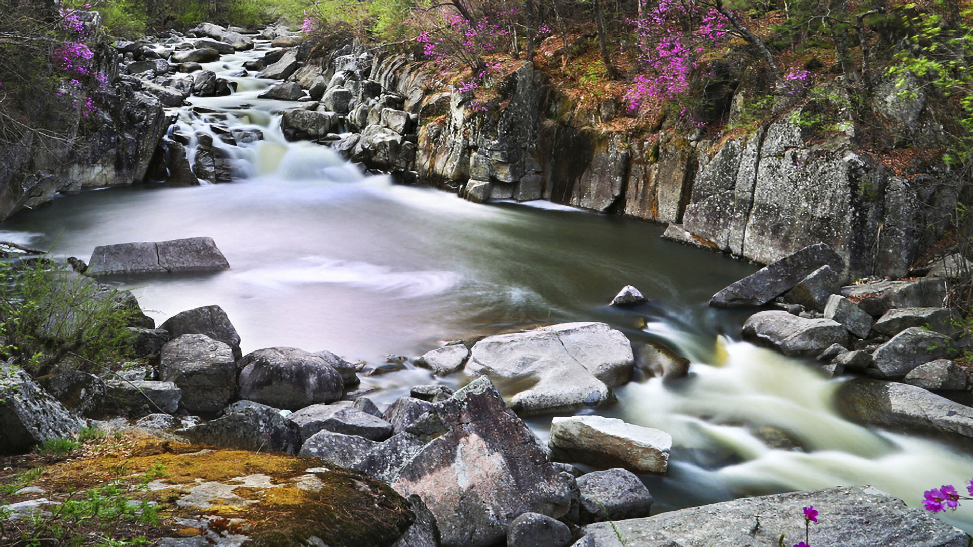 春到兰家  摄影  李忠万 拷贝