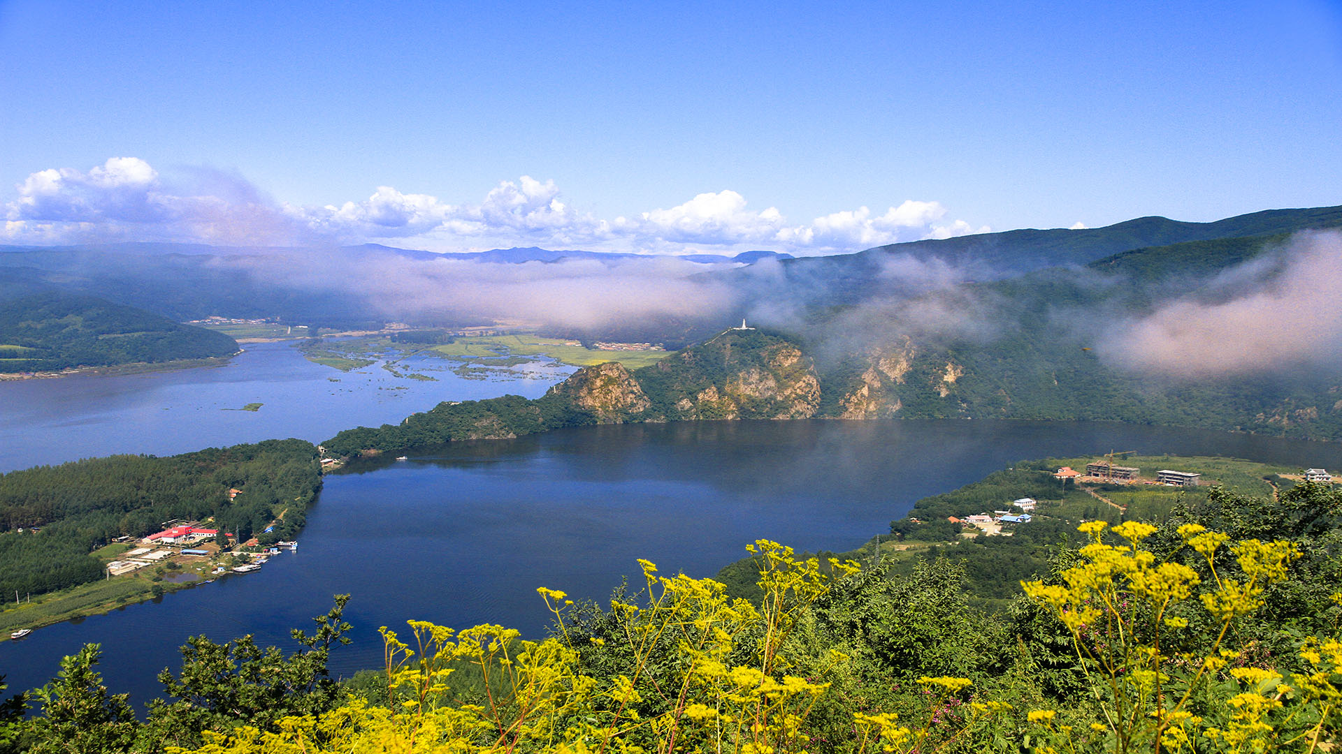 美丽的满天星  摄影  邹春枫 拷贝
