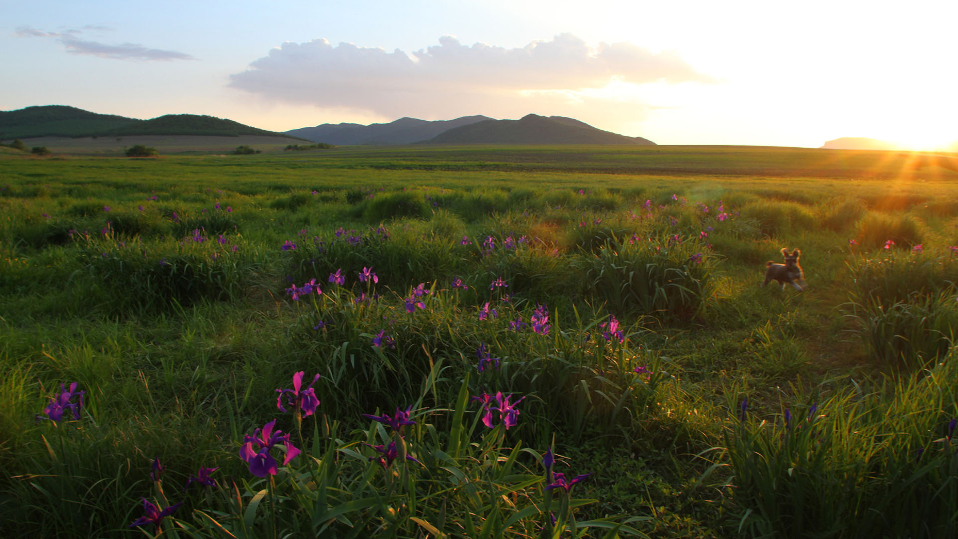马兰花湿地-四方台山2 拷贝