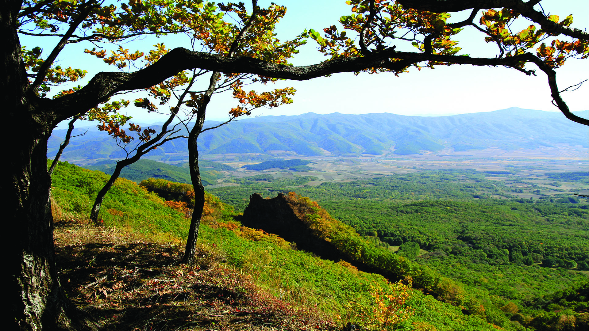 四方山景区2 拷贝