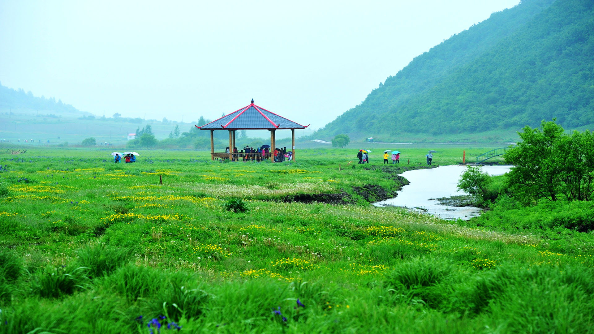 何立伟 (2) 拷贝