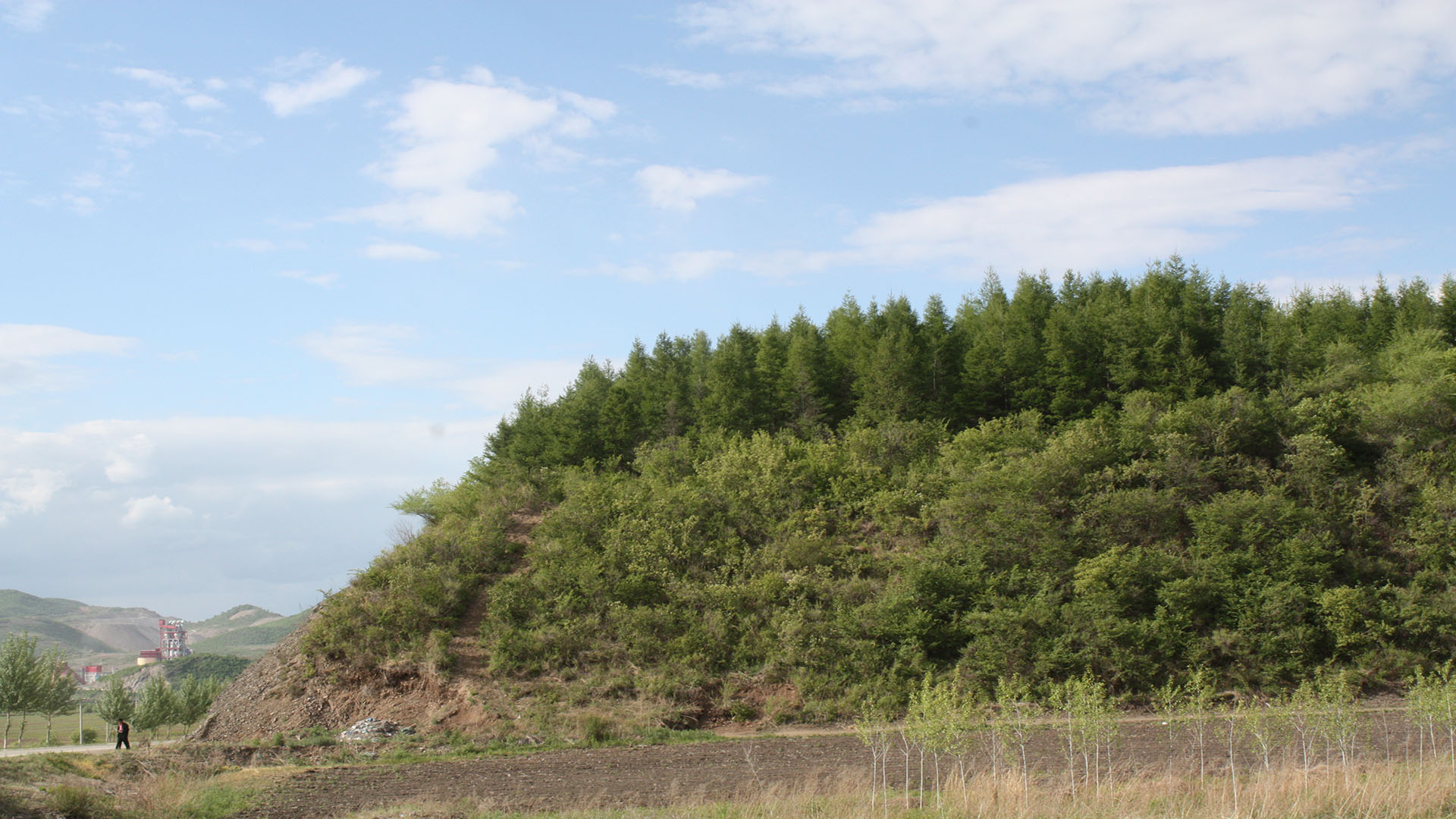庙岭剿匪战迹地