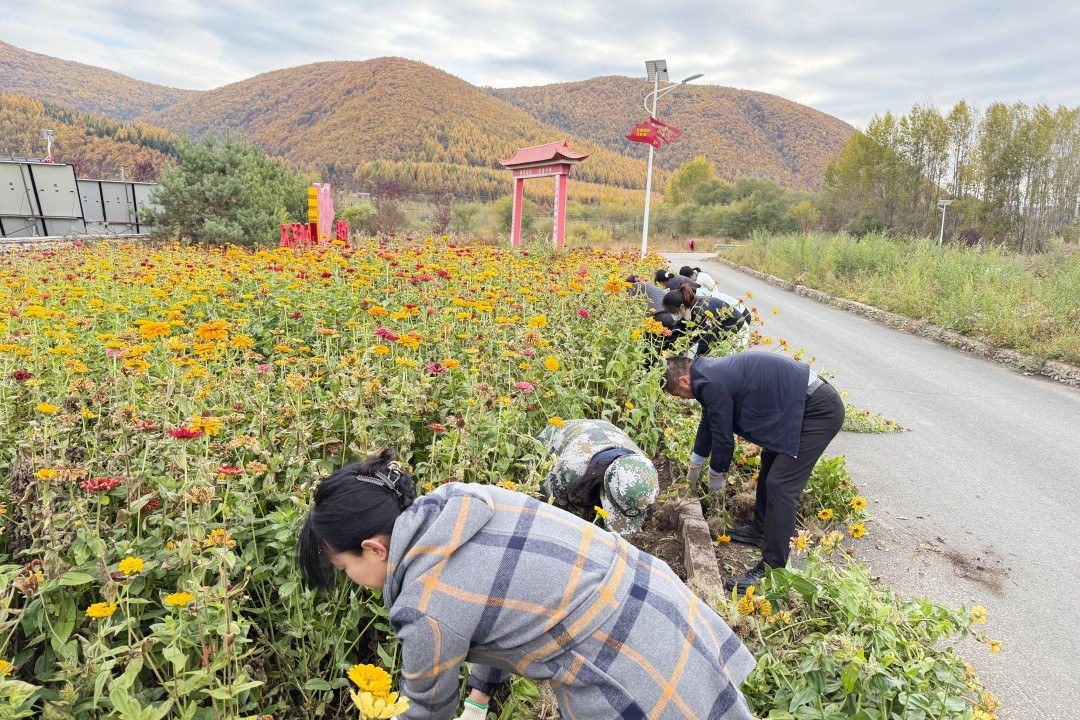 党旗引路除草忙 干群同心美家园 ——吉林汪清爱国主义教育中心包保村劳动报道